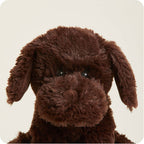 CHOCOLATE LABRADOR WARMIES 12"