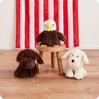 CHOCOLATE LABRADOR WARMIES 12"