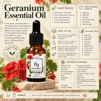Geranium | Essential Oil | Pelargonium graveolens