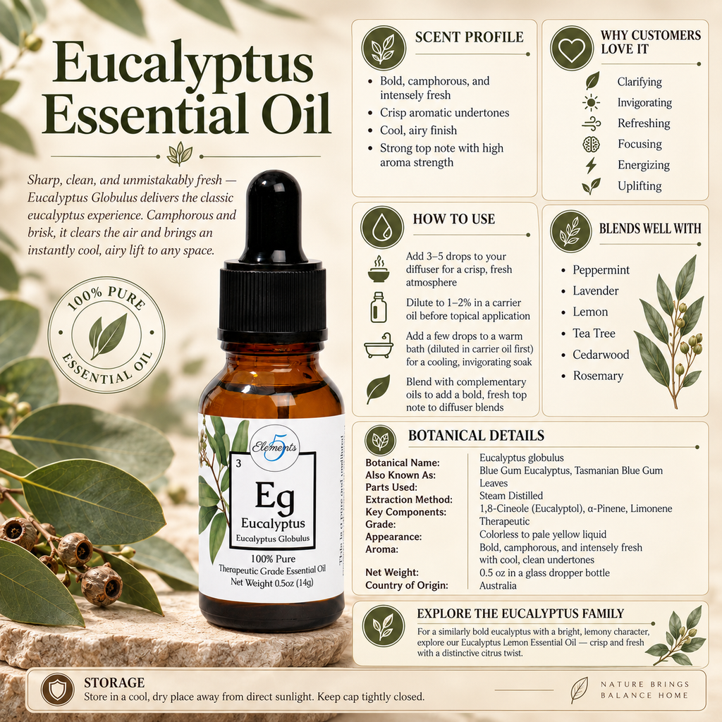 Eucalyptus Globulus | Essential Oil | Eucalyptus globulus