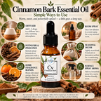 Cinnamon Bark | Essential Oil | Cinnamomum verum