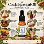 Cassia | Essential Oil | Cinnamomum cassia
