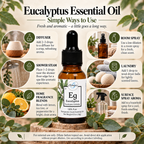 Eucalyptus Globulus | Essential Oil | Eucalyptus globulus