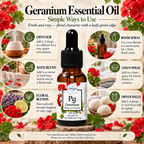 Geranium | Essential Oil | Pelargonium graveolens