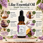 Lilac | Essential Oil | Syringa vulgaris