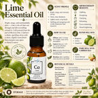 Lime | Essential Oil | Citrus Aurantifolia