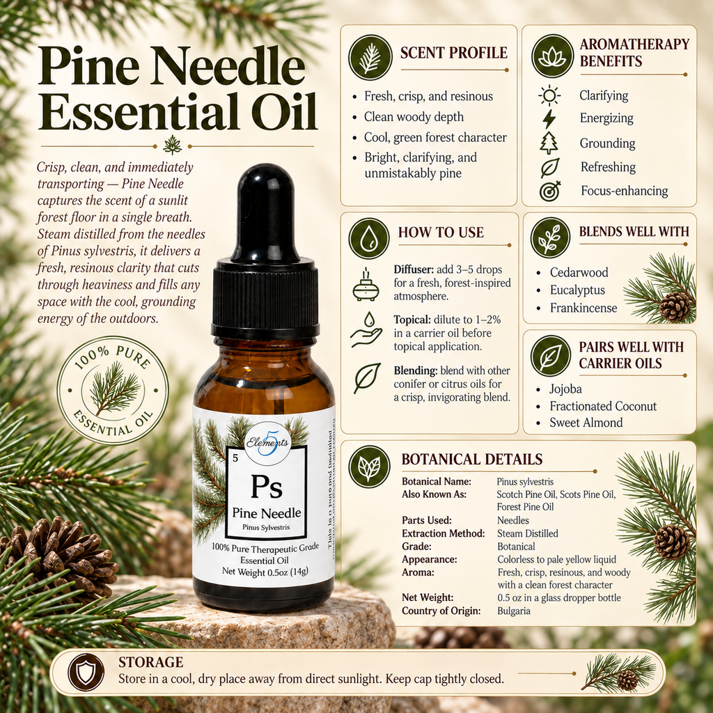 Pine Needle | Essential Oil | Pinus sylvestris