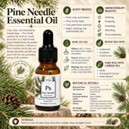 Pine Needle | Essential Oil | Pinus sylvestris