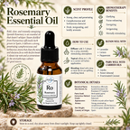 Rosemary | Essential Oil | Rosmarinus officinalis