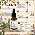 Sage | Essential Oil | Salvia officinalis