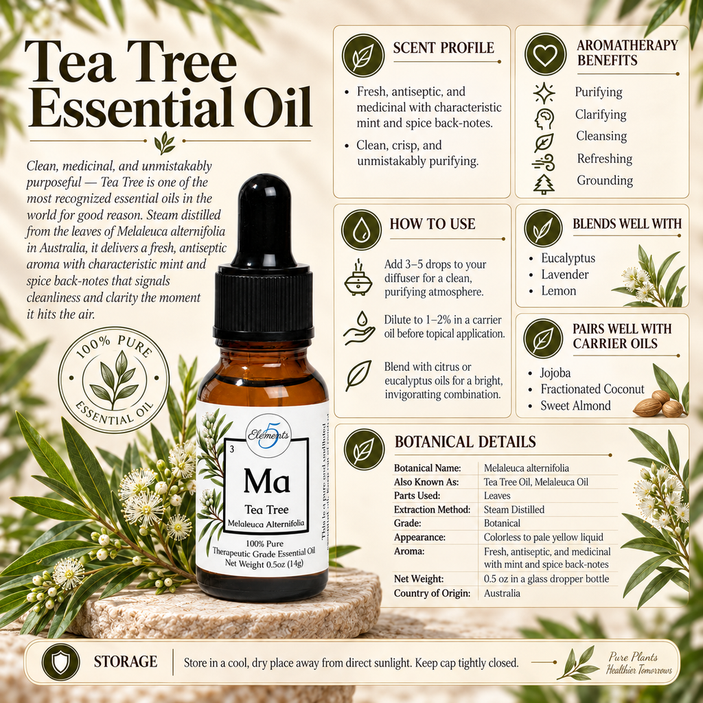 Tea Tree | Essential Oil | Melaleuca alternifolia