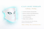 Luxe Professional Skin Care Rejuvenating LED Face Mask