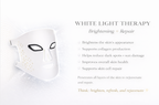 Luxe Professional Skin Care Rejuvenating LED Face Mask