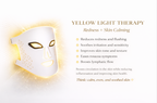 Luxe Professional Skin Care Rejuvenating LED Face Mask