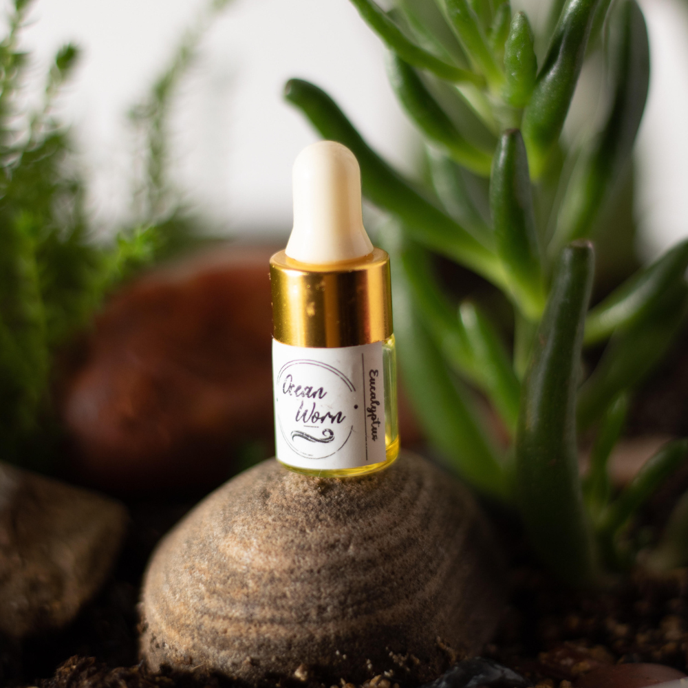 Shower Diffuser for Essential Oils in the Shower or the Car