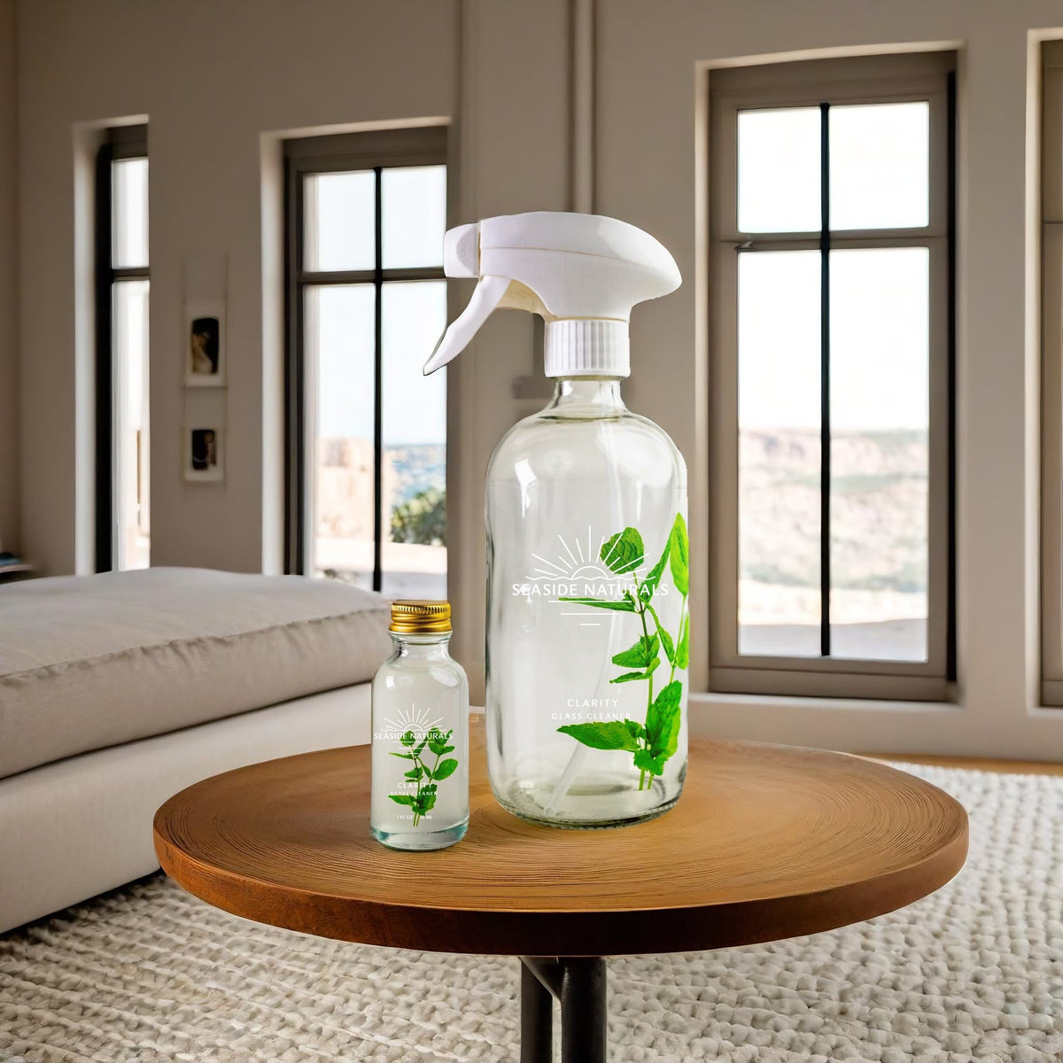 Clarity Glass Cleaner Kit