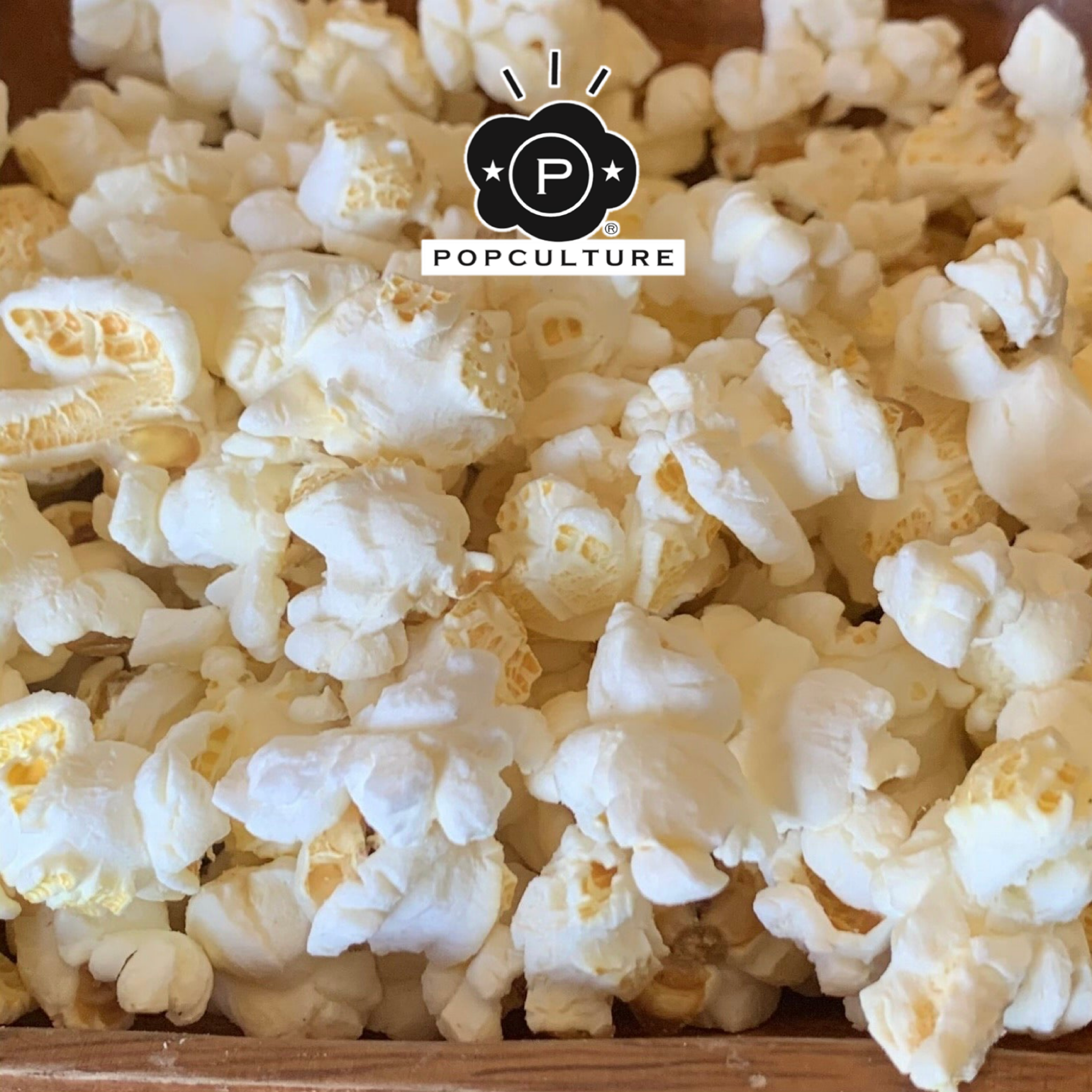 Salt & Vinegar Gourmet Popcorn