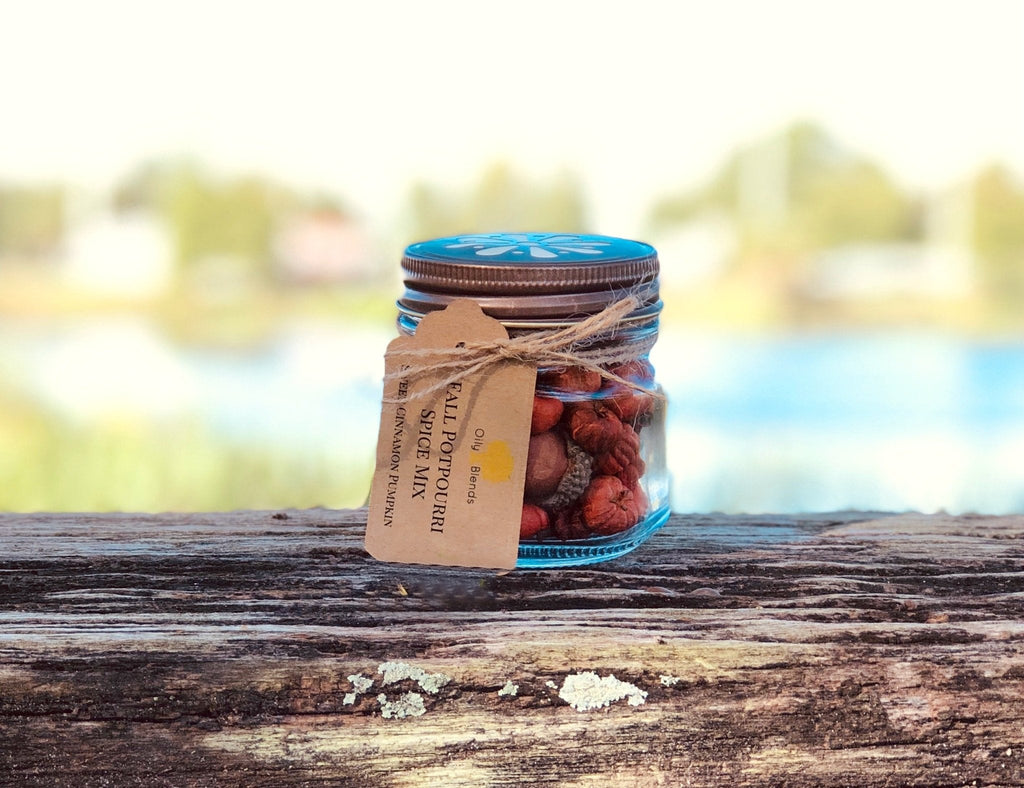 Spiced Pumpkin Mix in Jars - Oily BlendsSpiced Pumpkin Mix in Jars