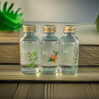Start Up Kit Refill