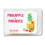 Summer 3 oz Wax Melts - Oily BlendsSummer 3 oz Wax Melts